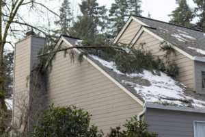 Emergency Roofing Services: Essential Tips for Handling Roof Emergencies